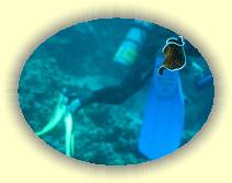 IMG_2007_05_25 18_44_24 * 2272 x 1704 * (257KB)